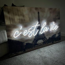  'C'est La Vie' Paris Neon Sign Next Day Item - Marvellous Neon