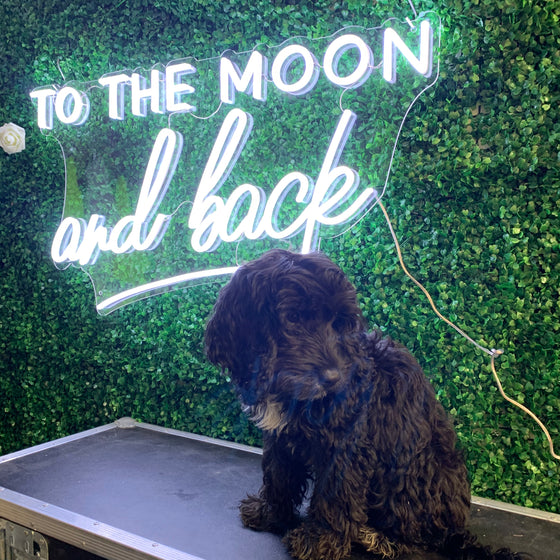 To The Moon And Back Led Sign - Marvellous Neon